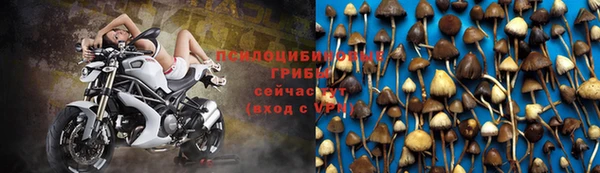 мяу мяу мука Балахна