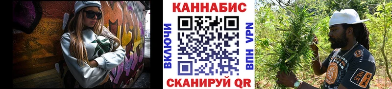 Конопля план  где продают   Ясногорск 